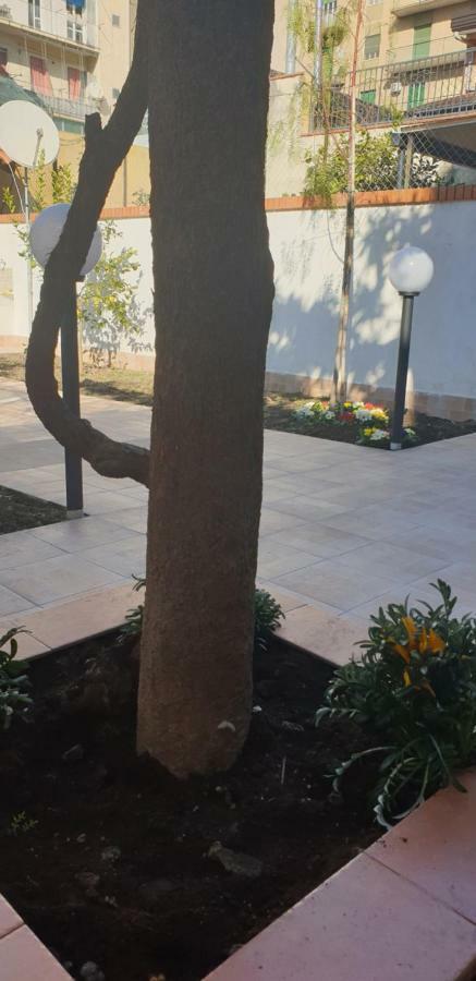 Casa Gialli كاتانيا المظهر الخارجي الصورة