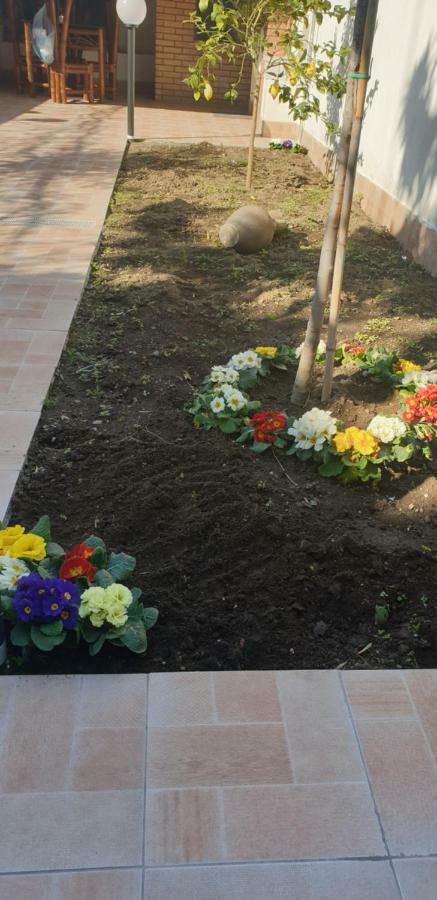 Casa Gialli كاتانيا المظهر الخارجي الصورة